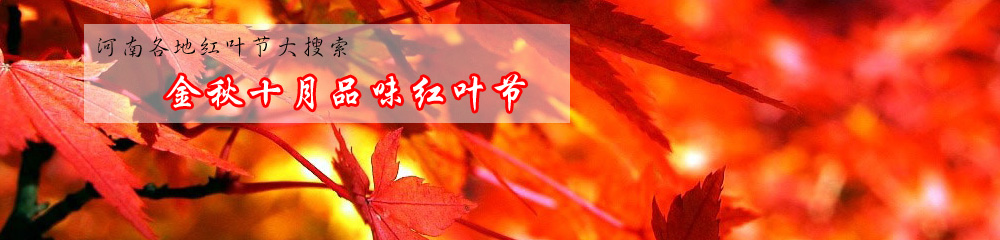 金秋十月，看红叶，品红叶节