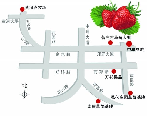 特产-郑州近郊大批草莓成熟 快来瞅瞅“采草莓地图”