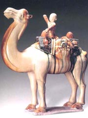 文化遗产知识-唐三彩骆驼