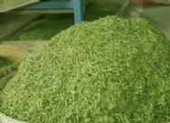 ��̶����ë���